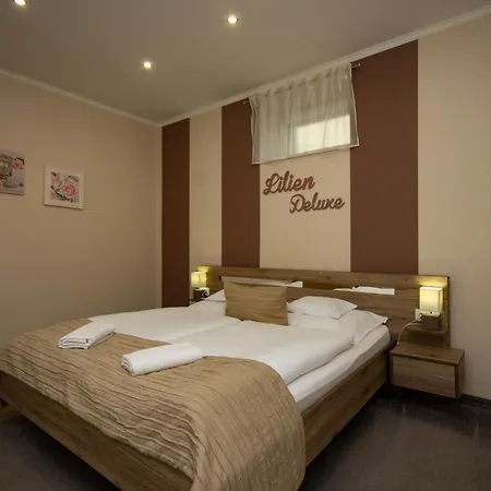 Lilien Deluxe Apartment Gyula